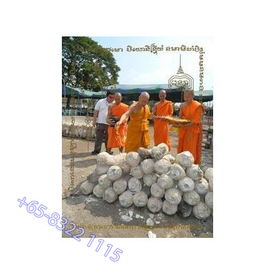 LP Surasak Phra Sivali (BE 2555) S/n:292 Make 300pcs 15 Inches Height