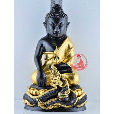 贴金药师佛金身，龙婆年加持（佛历2557）