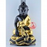 贴金药师佛金身，龙婆年加持（佛历2557）