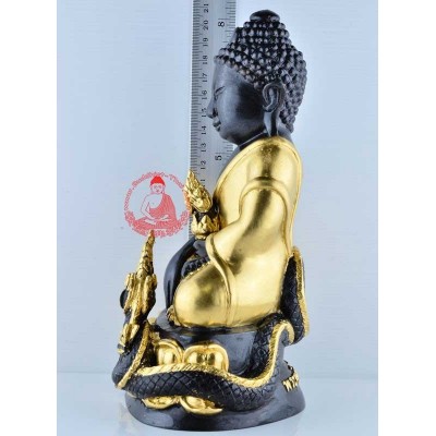 贴金药师佛金身，龙婆年加持（佛历2557）