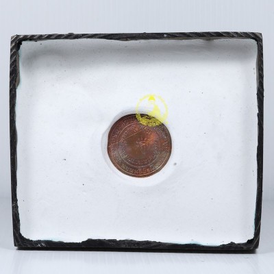 龙莆托 4寸金身，瓦沧海 Wat Chang Hai （佛历2559）
