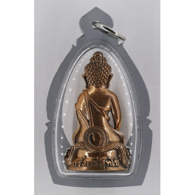 做1999尊,药师佛,龙莆堪布加持,佛历2555,铜,配备外壳