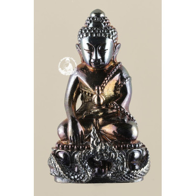 药师佛 & PaYaNak 2564 Wat Thai, 银, 金, Pink or 彩虹 色 3.9cm 配 新塑料 外壳