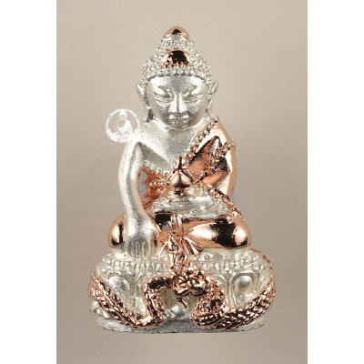 药师佛 & PaYaNak 2564 Wat Thai, 银, 金, Pink or 彩虹 色 1.8cm 配 新塑料 外壳