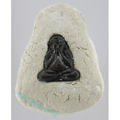 LP Sakorn 2546 Prai Kuman Holy Powder & Hair, Phra Pidta Wat NongKrub