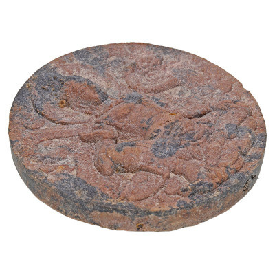 108高僧加持，泽度金头帮哥锡铁Luang Nui，佛历2549，圣粉草药5 cm