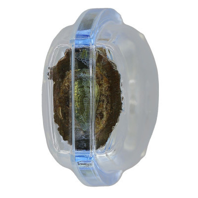 纳瓦编号,龙莆伽隆Phra MaeTorRaNee佛历2552,Wat KhaoLam