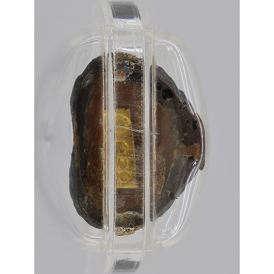 Gold Code S/n:151 Ajahn KhunPan 2546 Phra Pidta LekNamPee 2.8cm