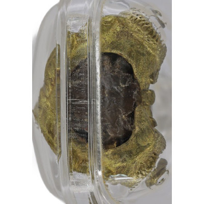 108高僧加持，头帮哥锡铁Luang Nui，佛历2549，帕必达潘帕刚，编号：887铜啦康3cm