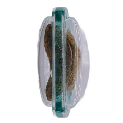 1st batch Phra Pidta with Talisman ChaoKun Udom 2558 Wat Thanna Mongkhun