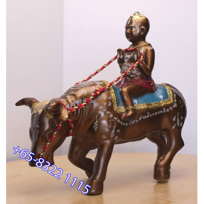 S/n:799 LP Yam 2551 KuManThong Ride Cow Statue Height 19cm  Wat Sam Ngam