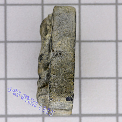 头帮龙婆培,佛历2513,掩面佛,必達Wat PiKulThong,G-pra证书