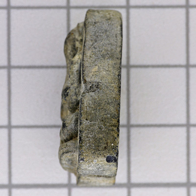 头帮龙婆培,佛历2513,掩面佛,必達Wat PiKulThong,G-pra证书