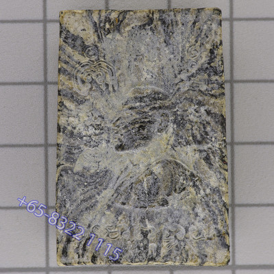 龙婆培加持,佛历2514,崇迪佛菩提树,Wat PiKulThong 精美条纹