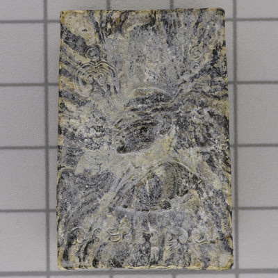 龙婆培佛历2514加持，崇迪佛菩提树，Wat PiKulThong 精美条纹