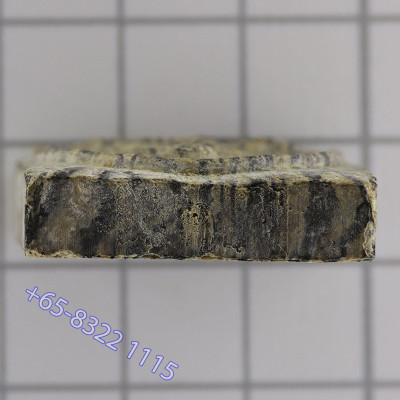 龙婆培加持,佛历2514,崇迪佛菩提树,Wat PiKulThong 精美条纹