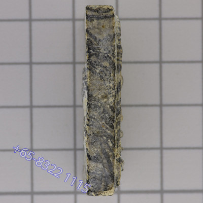 龙婆培加持,佛历2514,崇迪佛菩提树,Wat PiKulThong 精美条纹