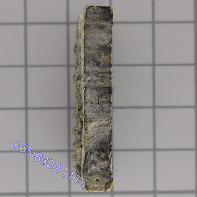 LP Pae Phra Somdej Prok Pro 2514 Wat PiKulThong, Exquisite﻿ Stripe, Internal Takrut
