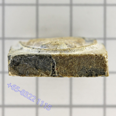Hand Mold  LP Pae 2512 Phra Somdej Wat PiKulThong, Pae 3pan, Internal Takrut