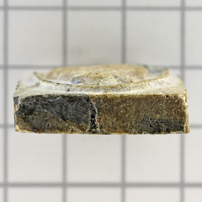 龙婆培,佛历2512,手模具崇迪佛,三潘圣粉,精美条纹,Wat PiKulThong