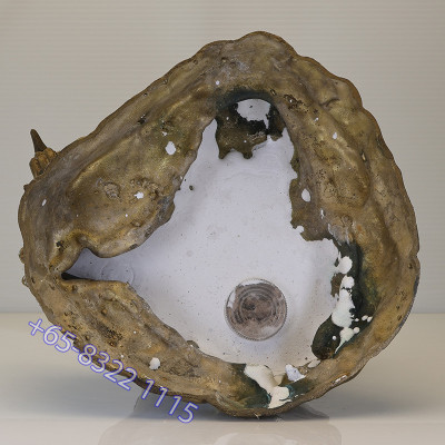 编号:31帊鲁士金身高 27cm,龙莆宏加持最后一批,佛历2557