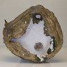 编号:31帊鲁士金身高 27cm,龙莆宏加持最后一批,佛历2557