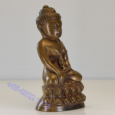 19名高僧加持，药师佛金身，佛历2556大法会龙婆沙空100天，编号：295 Wat NongKrub