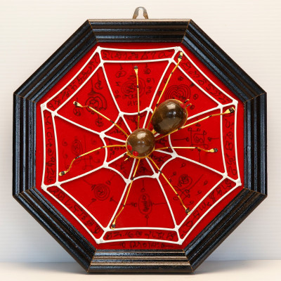 龙普素帕 2555 财富蜘蛛 22 厘米