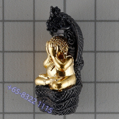 龙莆堪布最后一批,佛历2556,避達,PiThong,达固