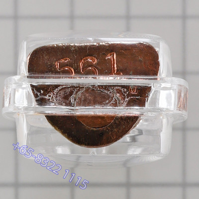 Made 999 LP Deng Wat Rai 2554 LP Thuad Rose Gold Plated S/n:561