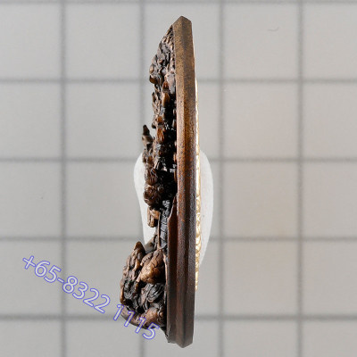 Made 499, Committee Version KB Baeng 2559 Phra Pidta, Wat TaNot Bronze S/n:54