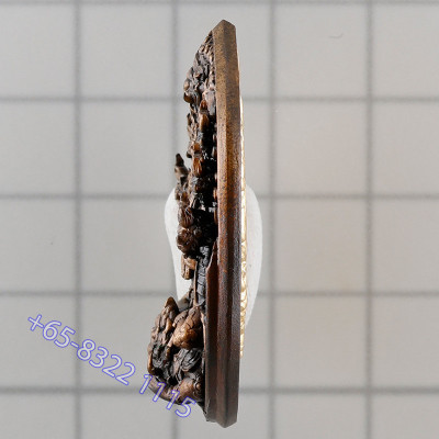 Make 499, Committee Version KB Baeng 2559 Phra Pidta, Wat TaNot Bronze S/n:54