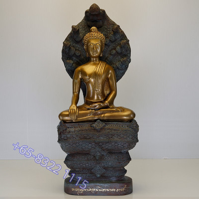 编号：22 Ajahn Plian 佛历2563 周六佛七龙佛金身 31cm
