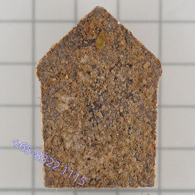 头帮，龙婆Prom佛历2553，帕坤平，圣粉4.1cm，Wat Palanupab