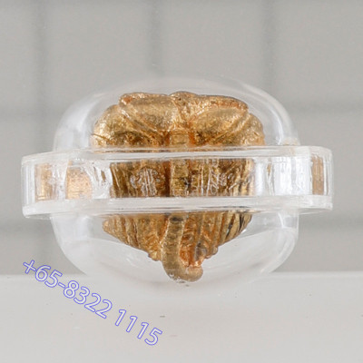 LP Hong 2553 Phra PiKaNet Pidta Gold Plated 2cm Wat SuSanThungMon