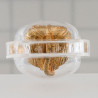 LP Hong 2553 Phra PiKaNet Pidta Gold Plated 2cm Wat SuSanThungMon