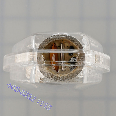 S/n:6 Silver PaYa Kai, Wealthy King Rooster, KuBa KamPeng 2559 Silver Plated Takrut