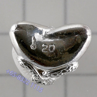 Silver S/n:20 Phra Pidta PangPaKang 2559 Wat Lak Mueang & Wat Mahathep