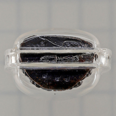 Famous Monks Blessed for LP Hong 100 days 2557 Phra Kring Brass 3.9cm