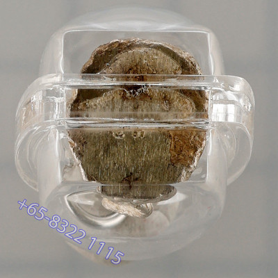 Wat KhaoOr，9 名师加持佛历2557，老虎，纯银2cm