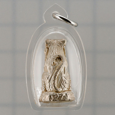 Wat KhaoOr 9 Famous Master Chanted 2557 Phaya Sua Silver 2.3cm