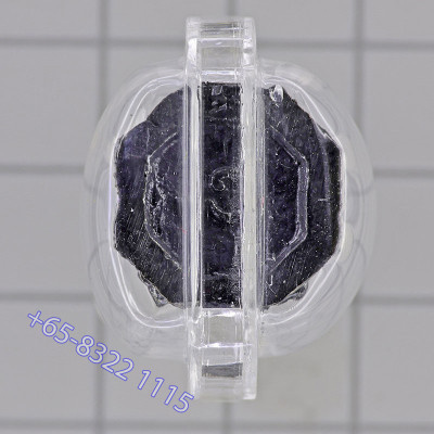 帕拉胡 2566 Wat Srisathong RonDam 2.1 厘米