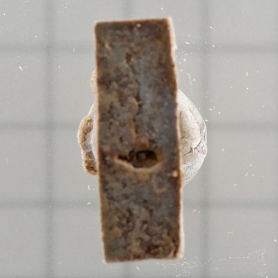 龙婆禅南佛历2551加持，帕西瓦里，草药粉 5cm