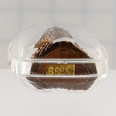 Ajahn KhunPan 2546 Gold Code S/n:122 Phra Pidta Nawa 2.8cm G-Pra Cert