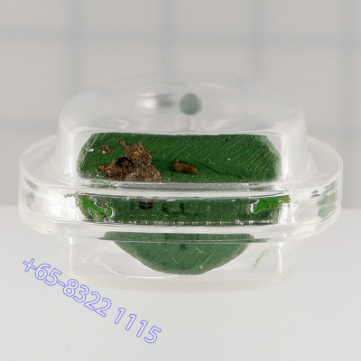 Mass Chanted 7 Times Ajahn KhunPan 2546 Phra Pidta Green Powder 2.8cm
