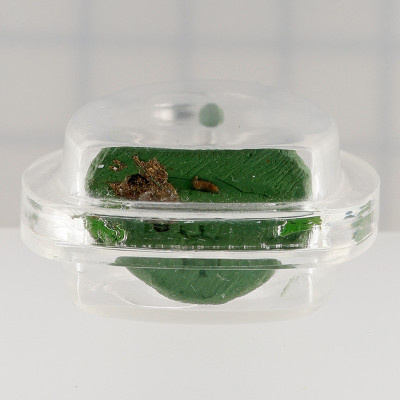 Mass Chanted 7 Times Ajahn KhunPan 2546 Phra Pidta Green Powder 2.8cm