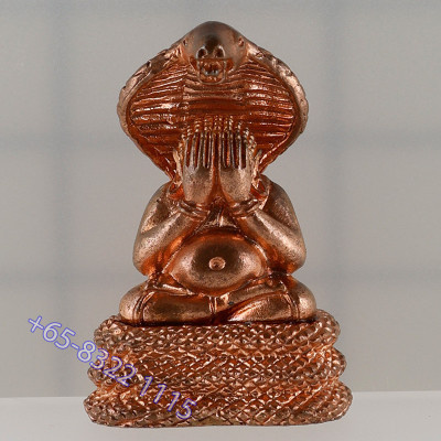 7 Chanting Ceremony Ajahn...