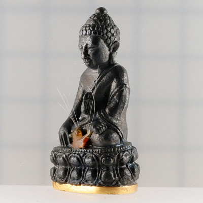 Made 29 S/n:13 Phra Kring Gold Base LP Hong 100 days Anniversary 2557