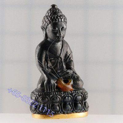 做29尊，金底编号：13  药师佛，龙婆宏100天纪念日，佛历2557大法会