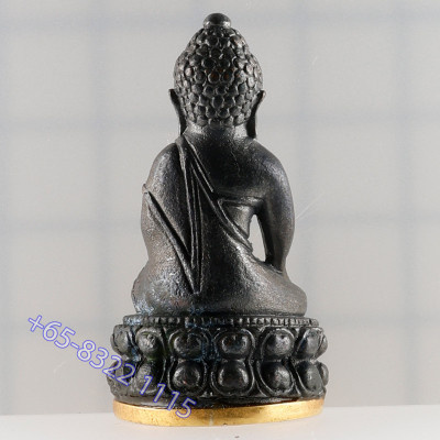 做29尊，金底编号：13  药师佛，龙婆宏100天纪念日，佛历2557大法会